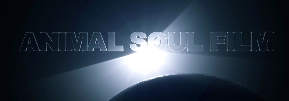 animalsoulfilmphoto-filtered_1